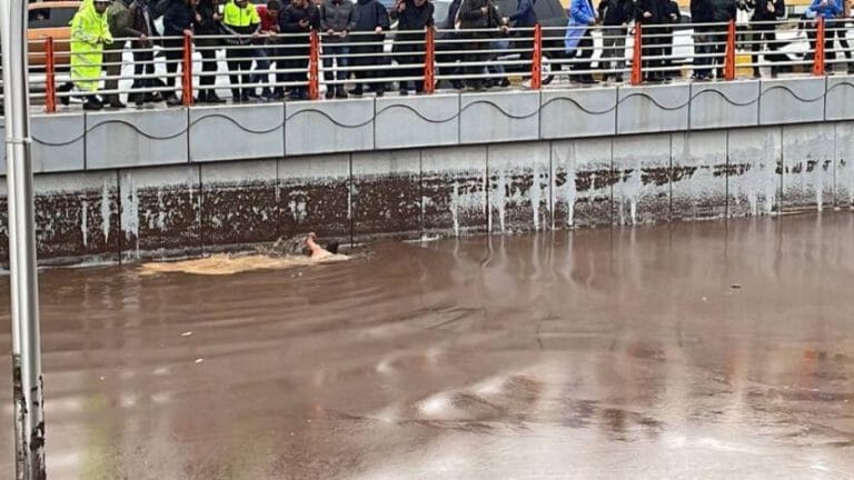 Afet üstüne Afet, Adıyaman ve Şanlıurfa’da sel: Beş kişi hayatını kaybetti