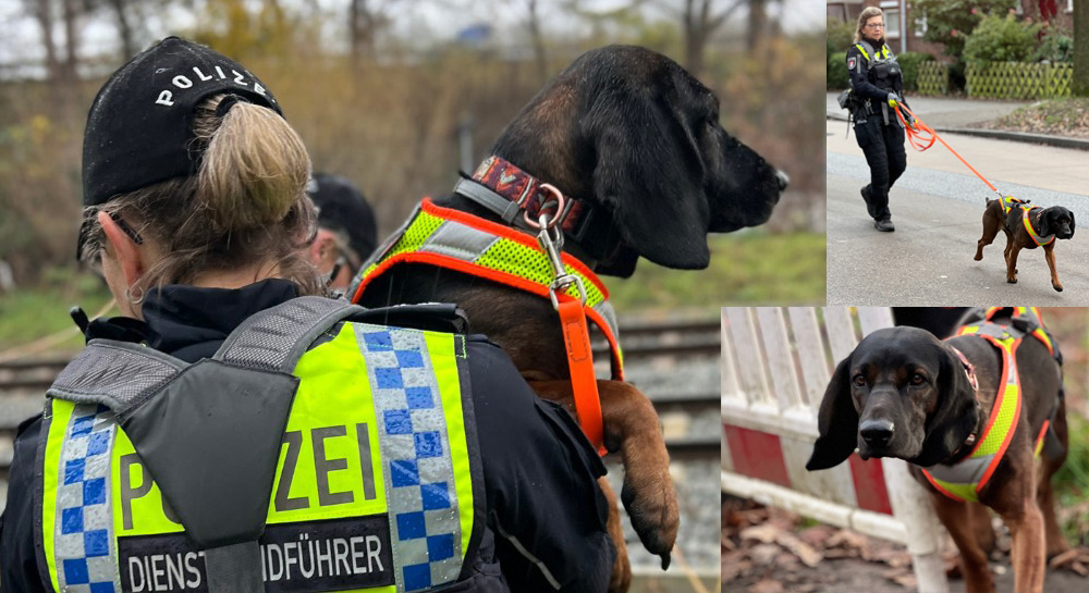 Hamburg Polisi’nin Personel İz Süren Köpekleri Hayat Kurtarıyor