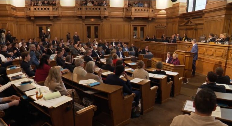 Hamburg’dan kritik adım: AfD’nin yasaklanmasını incelemeye hazırlanıyor