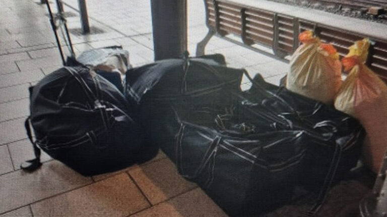 Hamburg Hauptbahnhof’ta sahipsiz bagaj alarmı: Bomba imha ekipleri sevk edildi