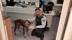 Hamburg’da kaybolan av köpeği “Jackie”, polis sayesinde sahibine kavuştu