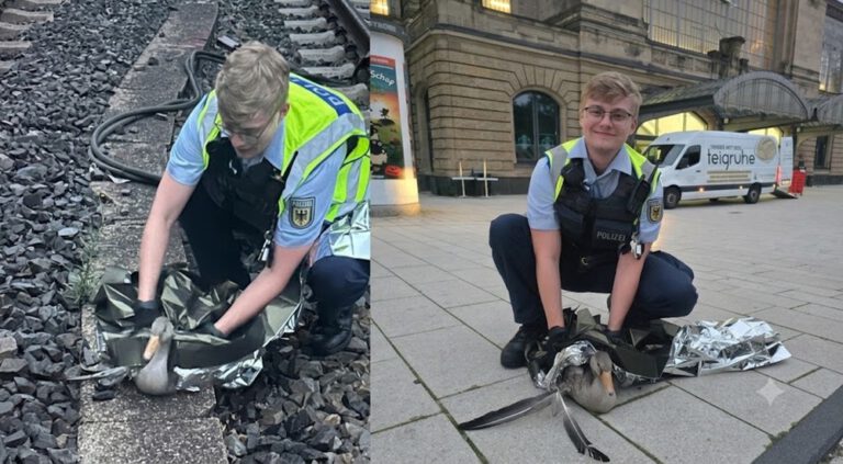 Hamburg’da raylarda mahsur kalan yaralı kazın yardımına Federal Polis yetişti