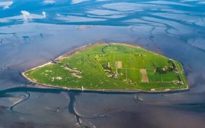 Nordseeinsel Neuwerk