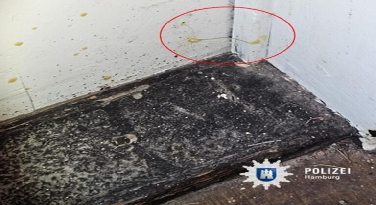 Hamburg’da “Karanlık Mevsim” Uyarısı: Polisten Ev Soygunlarına Karşı Önemli Uyarılar
